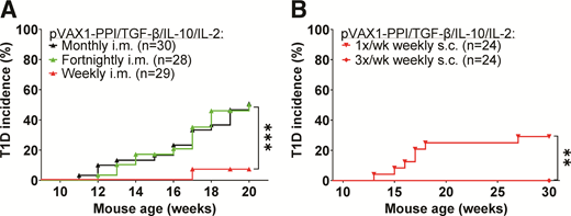 Optimal plasmid efficacy requires weekly i.m. dosing or thrice weekly s.c. dosing. A: Weekly i.m. dosing is efficacious as opposed to biweekly and once monthly. Diabetes incidence graph of NOD/ShiLtJ mice treated i.m. with pVAX1-PPI/TGF-β/IL-10/IL-2 once weekly (n = 29), once every other week (n = 28), or once monthly (n = 30). B: Subcutaneous dosing requires thrice weekly dosing for optimal efficacy. Diabetes incidence of NOD/ShiLtJ mice treated s.c. with pVAX1-PPI/TGF-β/IL-10/IL-2 either once weekly (n = 24) (inverted red triangles) or thrice weekly (n = 24) (red diamonds). All groups were treated for 21 weeks starting at 9 weeks of age. **P < 0.01; ***P < 0.001. wk, week.