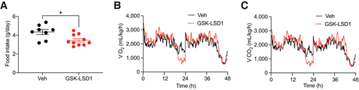 Food intake is reduced in GSK-LSD1–treated db/db mice. A: Male and female mice were injected daily with GSK-LSD1 or vehicle (veh) for 5 weeks and then placed into metabolic cages. With use of CLAMS, food intake was monitored over 48 h and is shown as food consumed per day (n = 4–5 mice/group/day). Oxygen consumption (VO2) (B) and carbon dioxide production (VCO2) (C) (n = 4–5 mice/group). Data presented as mean ± SEM. Statistical differences between two groups were calculated with an unpaired two-tailed Student t test (A) or two-way ANOVA (B and C) with Tukey post hoc analysis. *P < 0.05.