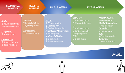 Pharmacological NRF2 inducers and their antidiabetic effects. A variety of pharmacological inducers of NRF2 have been shown to have antidiabetic effects across a variety of diabetes contexts. C66, curcumin analog 66; CA, cinnamaldehyde; CDDO-Me, bardoxolone methyl; D3T, 1,2-dithiole-3-thione; E3G, epigallocatechin-3-gallate; HUVECs, human umbilical vein endothelial cells; MitoQ, mitoquinone; tBHQ, tertiary butylhydroquinone.
