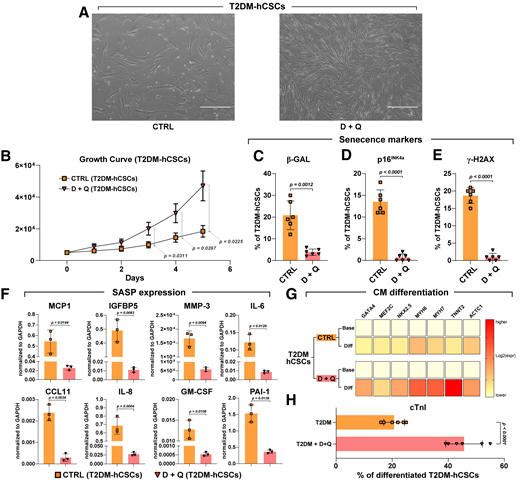 Diabetes-Induced Cellular Senescence and Senescence-Associated ...