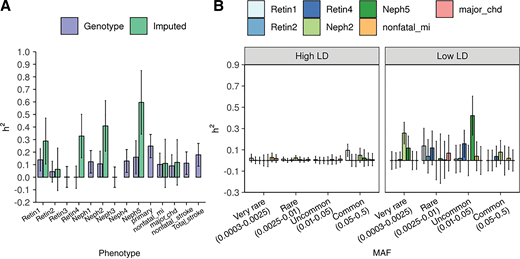 Heritability estimates and SEs of diabetes complications using the ACCORD data. A: Estimates from genotype and imputed data are obtained using the GREML-SC and GREML-LDMS-I approaches, respectively. We adjusted for sex, age at baseline, CVD history at baseline, and the top five genetic principal components. B: GREML-LDMS estimates with eight bins (two LD bins for each of the four MAF bins). For each phenotype, the sum of estimates from the eight bins of MAF shown in panel B is equal to the estimate represented as the green bar on panel A.