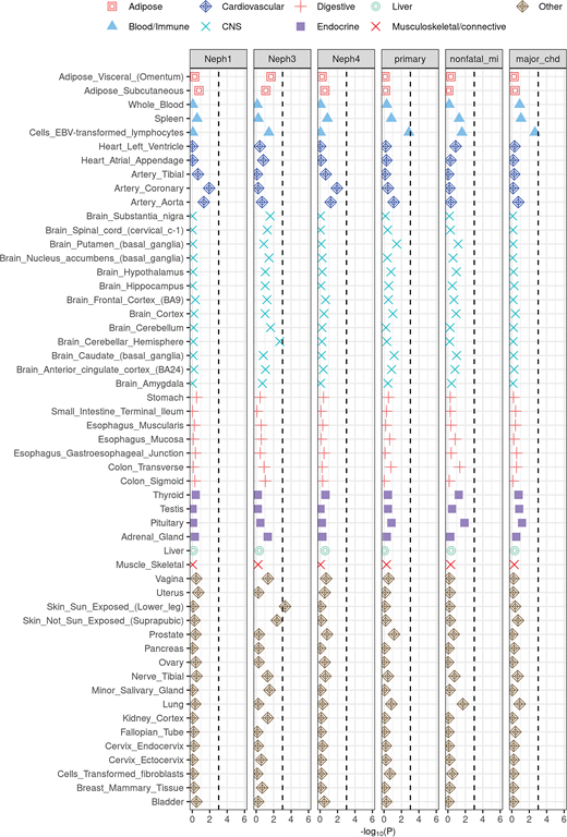 Enrichment of the selected ACCORD phenotypes in tissue-specific gene expression annotations used in Finucane et al. (45). The black dashed lines indicate the Bonferroni significance threshold (P < 0.05/53). CNS, central nervous system; EBV, Epstein-Barr virus.