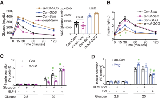 GLP-1R agonist restored glucose tolerance in α-null dams. A and B: Pregnancy of α-null or Con mouse was induced 1 month after Tmx treatment. Intraperitoneal GTT was performed with injection of glucagon (GCG) (50 μg/kg at 1 min before glucose injection) or GLP-1R agonist Sem (6 μg/kg s.c. 10 min before glucose injection) on E12.5. C: Islets were prepared from α-null and Con dams at E12.5 and cultured overnight. GSIS was performed with the presence of glucagon (10 nmol/L) and GLP-1 (7-36) amide (0.3 nmol/L) in indicated wells. D: GSIS was performed using size-matched islets from np-Con and pregnant (Preg) C57BL/6 mice (E12.5) with the presence of REMD15.9 (10 μg/mL) and Ex9 (1 μmol/L).