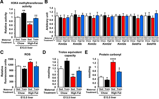 Maternal exercise promotes H3K4 methyltransferase activity and protects against ROS-induced protein carbonylation in offspring livers. Enzymatic activity of total H3K4 methyltransferase (A), mRNA expression of histone methylation-related gene expression (B), ROS level (C), Trolox equivalent capacity (D), and carbonylated protein content (E) in livers of E13.5 offspring of chow- or HFD-fed and sedentary (Sed) or trained dams (n = 6). All data are reported as means ± SEM. *P < 0.025 vs. Chow-Sed; **P < 0.01 vs. Chow-Sed; ****P < 0.0001 vs. Chow-Sed; ‡P < 0.01 High Fat-Sed vs. High Fat-Train; ††P < 0.01 High Fat-Sed vs. High Fat-Train. Statistical significance was determined by one- or two-way ANOVA, with Tukey and Bonferroni post hoc analysis.