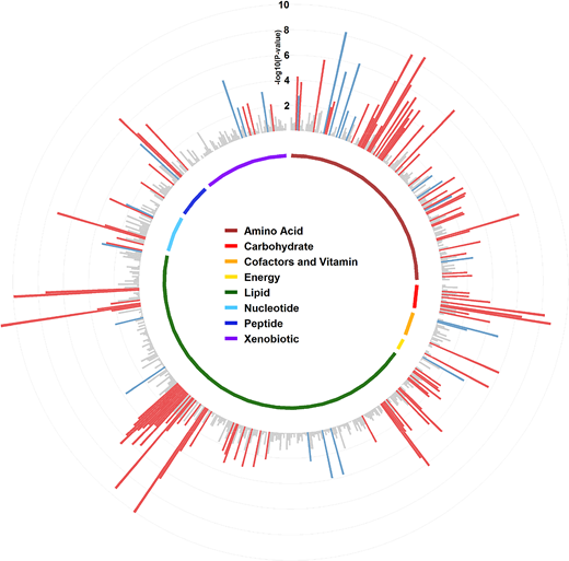 Polar bar plot showing association of individual metabolites with incident diabetes. Results were from multivariable survey Poisson regression models with adjustment for age, sex, study field center, Hispanic/Latino background, education, annual household income, smoking status, drinking status, total physical activity, AHEI-2010 score, lipid-lowering medication use, antihypertensive medication use, family history of diabetes, and fasting hours for the blood samples. Metabolites that were significantly associated with incident diabetes at an FDR-adjusted P < 0.05 are highlighted in red (positive associations, 110 metabolites) or in blue (inverse associations, 24 metabolites). Nonsignificant associations are shown in gray.