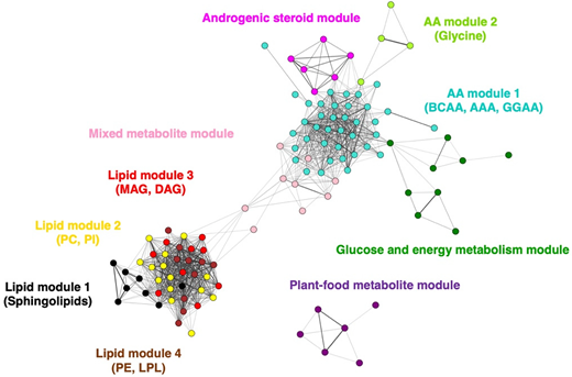 Network analysis of 134 metabolites significantly associated with incident diabetes. Each color indicates a subnetwork module detected by topological overlap measures, and a total of 10 metabolite modules were identified. PC, phosphatidylcholine; PI, phosphatidylinositol.