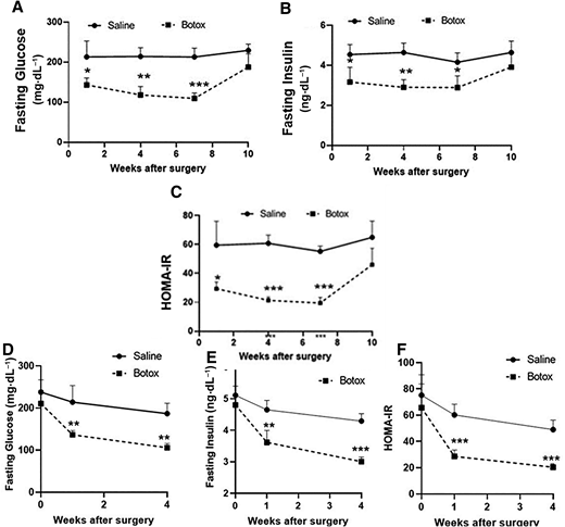 Fasting plasma glucose (A), insulin levels (B), and HOMA-IR scores (C) in saline- or Botox-injected (3 units/kg) DIO mice after 1, 4, 7, and 10 weeks of injections (n = 7–8 mice). Fasting plasma glucose (D), insulin levels (E), and HOMA-IR scores (F) in saline- or Botox-injected mice pair-fed for 4 weeks (n = 6–8 pairs). *P < 0.05; **P < 0.01, ***P < 0.001.