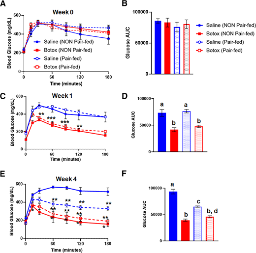 Blood glucose levels and AUCs after oral glucose gavage measured in mice with or without pair-feeding at week 0 (before pair-feeding and saline or Botox injections) (A and B), week 1 (C and D) and week 4 (E and F) (n = 6–8 pairs for pair-fed mice; n = 6–7 mice for non–pair-fed mice). Bars with different letters are significantly different. *P < 0.05; **P < 0.01; ***P < 0.001.