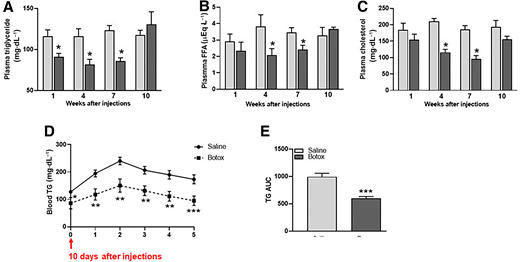 Fasting plasma TGs (A), FFA (B), and cholesterol levels (C) in saline- or Botox-injected (3 units/kg) DIO mice after 1, 4, 7, and 10 weeks of injections (n = 6–8 mice). Blood TG levels (D) and TG AUC (E) in saline- or Botox-treated DIO mice after oral gavage of lipid emulsion (10 µL/g body wt), measured 10 days after injections (n = 5–7 mice). *P < 0.05; **P < 0.01; ***P < 0.001.