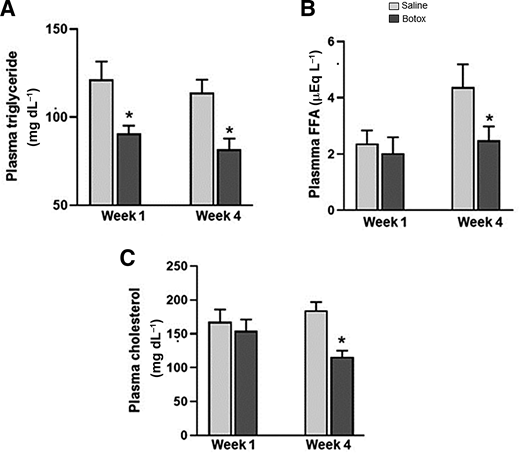 Fasting plasma TGs (A), FFA (B), and cholesterol levels (C) in Botox-injected mice and in saline-injected mice pair-fed for 4 weeks (n = 6–8 pairs). *P < 0.05; **P < 0.01; ***P < 0.001.