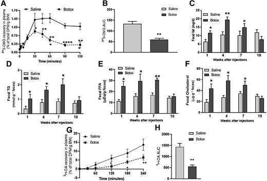 Plasma 3H recovery in saline- or Botox-treated mice at 5, 15, 30, 45, 60, 90, and 120 min after an oral gavage of 20% dextrose (2 mg/g body wt [BW]) spiked with 3-[3H]OMG (∼5 µCi/mouse) (A) and 3-[3H]OMG AUC (B). dpm, disintegrations per minute. Fecal fat (C), TG (D), FFA (E), and cholesterol (F) in saline- or Botox-injected mice measured after 1, 4, 7, and 10 weeks of injections (n = 6 mice). Plasma [3H]OA) recovery in saline- or Botox-treated mice at 30, 60, 120, 180, and 240 min after an oral gavage of olive oil spiked with [3H]OA (∼5 µCi/mouse) (G) and [3H]OA AUC (H) (n = 6–8 mice). *P < 0.05; **P < 0.01; ***P < 0.001.
