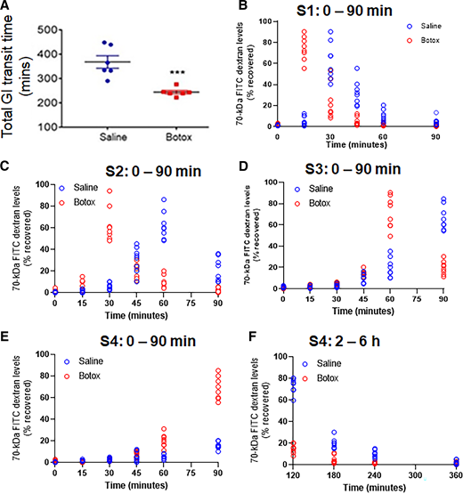 A: Total GI transit time in saline- or Botox-injected mice by carmine dye method (n = 6 mice/group). Percentage of FITC-dextran recovered during 0–90 min of gavage in intestinal segment S1 (B), S2 (C), S3 (D), and S4 (E). F: Percentage of FITC-dextran recovered in S4 at 2–6 h after gavage. Saline- or Botox-treated mice (n = 5–8/group) were fasted overnight, and 5 mmol/L FITC-dextran was administered by gavage. Mice were euthanized 0, 15, 30, 45, 60, 90, 120, 180, 240, and 360 min later, and the small intestines were collected for analyses. Intestines were sectioned into four 8-cm segments (S1-S4 from duodenum to cecum). All four segments for every time point were collected from the same mouse (n = 4–8 mice).