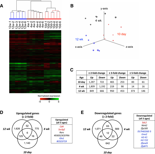 Gene expression in isolated islets of 10-day-, 4-week-, and 12-week-old NOD compared with age-matched NOD.B10 mice. A: Hierarchical clustering data shown as a heat map of normalized gene expression (Log2[Raw intensity in NOD/age-matched NOD.B10]). B: Principal component analysis showing normalized gene expression in NOD vs. NOD.B10 islets cluster based on age. C: The number of entities that are differentially expressed by at least twofold, threefold, and fivefold (P < 0.01) in the islets of NOD vs. age-matched NOD.B10 mice. Venn diagrams showing the overlap of significantly upregulated (D) and downregulated (E) entities in the islets of NOD vs. NOD.B10 mice at different ages. Genes that are changed in all three ages are shown. Biologically relevant genes are highlighted in red, and genes that reside in chromosome 17 between chr17:25025623 and 36253239 are highlighted in blue. This represents the “H2b haplotype” region transferred from C57BL/10SnJ to NOD/Lt to create the NOD.B10Sn-H2b/J strain.