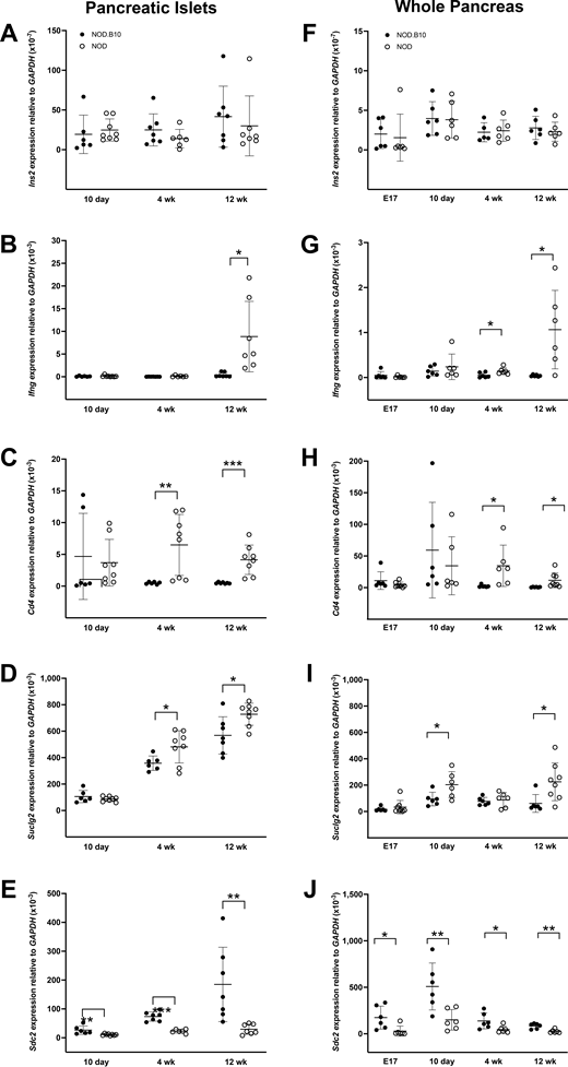 Expression of disease-relevant genes in isolated islets and pancreata of NOD and NOD.B10 mice. QPCR analysis was performed to measure Ins2 (A and F), Ifng (B and G), Cd4 (C and H), Sucgl2 (D and I), and Sdc2 (E and J) in isolated islets and whole pancreata samples of NOD and NOD.B10 mice at 10 days, 4 weeks, and 12 weeks of age and in the fetal pancreas at E17. Note that islet samples used for these studies do not overlap with those used for microarray studies. The mean ± SEM are shown, and statistical analysis was performed using the two-tailed Student unpaired t test or the Mann-Whitney test (Supplementary Table 6). *P < 0.05; **P < 0.01; ***P < 0.001.