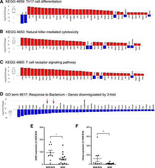 Upregulation of immune pathway genes and downregulation of antimicrobial response genes in the islets of 12-week-old NOD vs. NOD.B10 mice. Differentially expressed genes belonging to the Th17 cell differentiation (A, KEGG 4659), Natural killer-mediated cytotoxicity (B, KEGG 4650), or T cell receptor signaling (C, KEGG 4660) pathways that are significantly changed in the islets of 12-week-old NOD vs. NOD.B10 mice. D: Highly downregulated genes in the islets of 12-week-old NOD vs. NOD.B10 mice that belong to GO term 9617: Response to Bacterium. E and F: QPCR was performed to confirm the reduced expression of Defb1 and Hamp expression using a separate cohort of 12-week-old NOD and NOD.B10 mice. The mean ± SEM are shown, and statistical analysis was performed using the two-tailed Student unpaired t test or the Mann-Whitney test (Supplementary Table 6). *P < 0.05; **P < 0.01. Panels A–D were generated using iPathwayGuide.