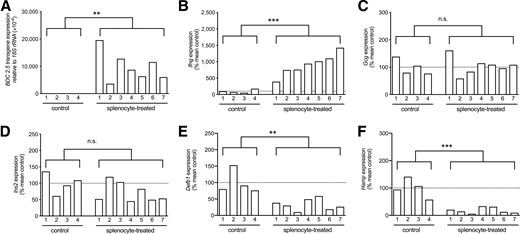 Effect of in vivo and in vitro islet inflammation on gene expression. Activated splenocytes of NOD.BDC.2.5 mice were injected i.p. into NOD.SCID mice to induce islet inflammation. QPCR results confirm the presence of the BDC2.5 transgene (A) and upregulation of Ifng (B) in the pancreata of NOD.SCID mice 48 h after injection. Gcg (C) and Ins2 (D) expression were not changed, while Defb1 (E) and Hamp (F) were significantly reduced in the pancreata of splenocyte-treated mice compared with PBS-treated controls. Each bar represents an individual mouse, and statistical analysis was performed using the Student unpaired t test to compare the means between the two groups (splenocyte-treated vs. PBS-treated). **P < 0.01; ***P < 0.001.
