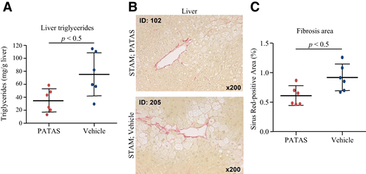 PATAS is effective in reducing liver steatosis and fibrosis in nonobese, NASH STAM mouse model. A: STAM mice received a constant 2 mg/kg BW PATAS vs. saline vehicle weekly injection for 5 weeks starting at age 4 weeks postnatal. At 9 weeks of age, PATAS-treated STAM mice showed a significant drop of 60% in liver TGs (n = 6 mice per group). B: Liver sections from the treated mice stained with Sirius red (n = 6 mice per group). C: Quantification of the corresponding Sirius red–positive fibrotic areas showing a significant drop of 40% in PATAS-treated STAM mice (n = 6 mice per group).