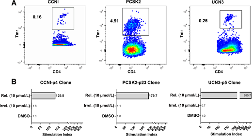 Recognition of novel epitopes by T cells from subjects with type 1 diabetes. A: T cells that recognize epitopes derived from splice variants and novel secretory granule antigens could be expanded from peripheral blood after peptide-specific expansion and detected by HLA class II tetramer staining. Representative results from one individual donor per epitope are shown (out of 15 subjects with T1D, Supplementary Table 1). B: Epitope-specific T cell clones were isolated by sorting and expanding single tetramer–positive T cells. Each clone proliferated robustly (stimulation index >100) in response to 10 µg/mL of its cognate peptide and exhibited negligible proliferation (stimulation index <2) in response to 10 µg/mL of an irrelevant peptide. Data are represented as stimulation index values, which we calculated by normalizing the proliferation of each clone based on [3H]-thymidine incorporation of unstimulated wells. Irrel., Irrelevant; Rel., Relevant; Tmr, Tetramer.