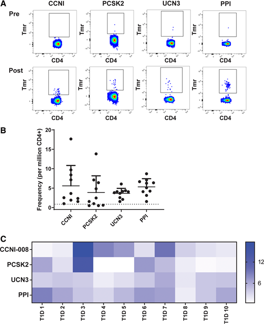 T cells specific for novel epitopes have variable frequencies in subjects with type 1 diabetes. T cells specific for the novel epitopes identified were directly enumerated in peripheral blood using a magnetic enrichment procedure. A: HLA class II tetramers were used to enumerate CD4+ T cells for three novel epitopes plus a reference PPI epitope. Cells were gated based on size, viability, and lack of CD14/CD19 expression and CD4 expression and then displayed on a CD4 vs. tetramer (PE, PE-CF594, PE-Cy5, or PE-Cy7 labeled). A typical result, representative of 10 subjects with T1D examined (Supplementary Table 2), is shown. Each upper panel shows a precolumn fraction, used to determine the total number of CD4+ T cells in the unmanipulated sample and to set a threshold for positive tetramer staining. Each lower panel shows the corresponding enriched (postcolumn) fraction, used to determine the total number of epitope-specific CD4+ T cells in the sample. B: Summary of ex vivo frequencies for each epitope measured in the peripheral blood of 10 subjects with established type 1 diabetes (Supplementary Table 2). The dotted line indicates the previously reported limit of detection for direct tetramer staining. CCNI and PPI were more frequent (5.6 and 5.3 cells per million, respectively) than PCSK2 and UCN3 (3.9 and 3.6 cells per million). C: A heat map of the same frequency data reveals unique patterns of reactivity in different subjects with type 1 diabetes. Post, enriched fractions; Pre, nonenriched fractions; Tmr, Tetramer.
