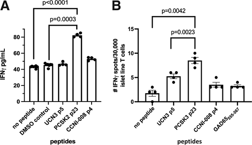 PCSK2-specific CD4+ T cells infiltrate the islets of a donor with type 1 diabetes. An islet-derived CD4+ T cell line for a donor with T1D recognizes PCSK2. T cells were isolated and expanded from live, vibratome slices of pancreas tissue from nPOD donor 6472. A: Irradiated autologous B-LCL pulsed with peptides at 50 µg/mL, no peptide, or DMSO volume control and then cultured with T cells and anti-CD28 (5 µg/mL) for costimulation for 48 h. Supernatants were collected and responses detected with a standard IFN-γ ELISA. The data shown represent one of four similar experiments. B: The islet T cell line previously cultured with PCSK3 peptide was restimulated (with peptide-pulsed autologous B-LCL as antigen-presenting cells), expanded, and then retested by IFNγ ELISpot for reactivity to the peptides. Tumor necrosis factor-α was not detected by ELISpot. The data shown represent one of two similar experiments.