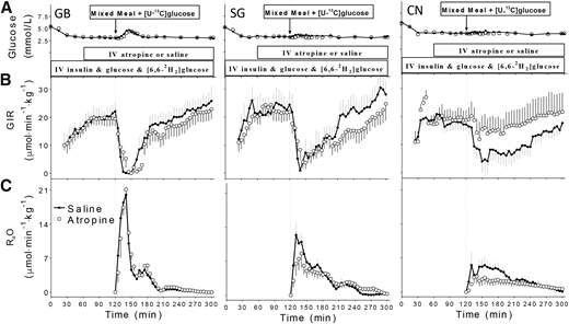 Plasma glucose concentration (A), GIR (B), and RaO (C) during hyperinsulinemic (120 mU ⋅ m−2 ⋅ min−1) hypoglycemic (∼3.2 mmol/L) clamp combined with mixed-meal ingestion at 120 min with (open circle, dashed line) and without (closed circle, black line) atropine infusion in subjects who underwent GB or SG and CN subjects. Data are presented as mean ± SEM. IV, intravenous.