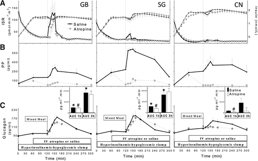 ISR and plasma insulin (A), pancreatic polypeptide (PP) (B), and glucagon (C) concentrations during hyperinsulinemic (120 mU ⋅ m−2 ⋅ min−1) hypoglycemic (∼3.2 mmol/L) clamp combined with mixed-meal ingestion at 120 min with (open circle, dashed line, white bar) and without (closed circle, black line, black bar) atropine infusion in subjects with previous history of GB or SG and CN subjects. Corresponding AUCs from 120 to 180 min (1 h) and 120 to 300 min (3 h) are shown as insets. *P < 0.05 compared with CN; #P < 0.05 compared with saline. Data are presented as mean ± SEM. IV, intravenous.