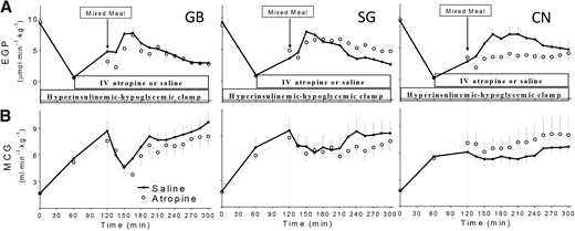 EGP (A) and metabolic clearance rate of glucose (MCG) (Rd/plasma glucose) (B) during hyperinsulinemic (120 mU ⋅ m−2 ⋅ min−1) hypoglycemic (∼3.2 mmol/L) clamp combined with mixed-meal ingestion at 120 min with (open circle, dashed line) and without (closed circle, black line) atropine infusion in subjects who underwent GB or SG and CN subjects. Data are presented as mean ± SEM. IV, intravenous.