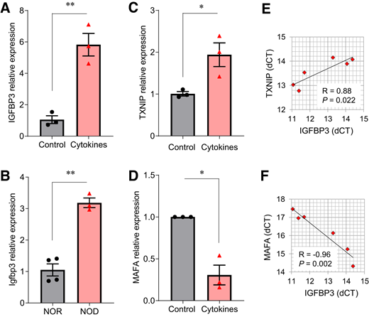 IGFBP3 expression is increased in human islets exposed to T1D-associated inflammatory cytokines and in diabetic NOD islets. A: IGFBP3 mRNA expression levels were assessed by qRT-PCR in human islets exposed to T1D-associated cytokine cocktail (50 units/mL IL-1β, 1,000 units/mL TNF-α, and 1,000 units/mL IFN-γ) or PBS control for 24 h. B: Igfbp3 mRNA expression levels were assessed by qRT-PCR in mouse islets of female diabetic NOD mice and female nondiabetic NOR control mice. C and D: TXNIP and MAFA expression as assessed by qRT-PCR in the same human islets exposed to inflammatory cytokines as shown in A. E and F: Correlation of IGFBP3 expression and TXNIP or MAFA. Data are mean ± SEM (n = 3 human islet donors; n = 3–4 mice per group). *P < 0.05, **P < 0.01. dCT, ΔΔCt.