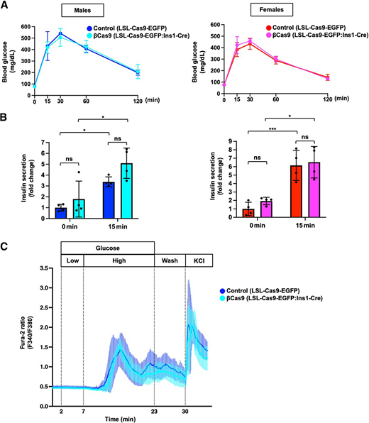 Glucose tolerance and β-cell function in βCas9 mice. A: ipGTT between control (LSL-Cas9-EGFP) and βCas9 (LSL-Cas9-EGFP:Ins1-Cre) mice at 11 weeks. B: Plasma insulin concentration in control and βCas9 mice during ipGTT. In both A and B, n = 4 for males and females. Data are mean ± SEM. *P < 0.05, ***P < 0.001 by unpaired two-tailed t test. C: Glucose-sensitive Ca2+ influx estimated with Fura-2 in pancreatic β-cells from control and βCas9 mice. Three independent experiments are represented.