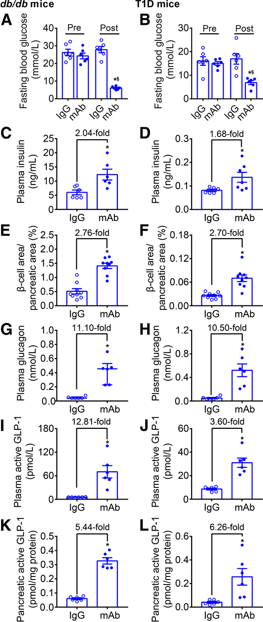 Illustration of Intermittent Fasting And Glp-1 Levels In Men