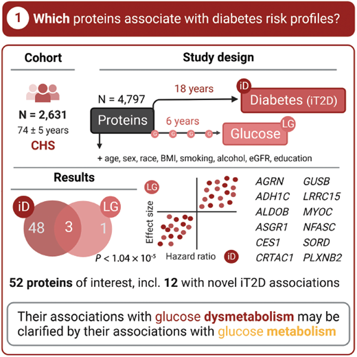 Proteins capture subtle changes in glucose homeostasis long before clinical disease. CHS, Cardiovascular Health Study; eGFR, estimated glomerular filtration rate; iD, incident diabetes; iT2D, incident type 2 diabetes; LG, longitudinal glucose.