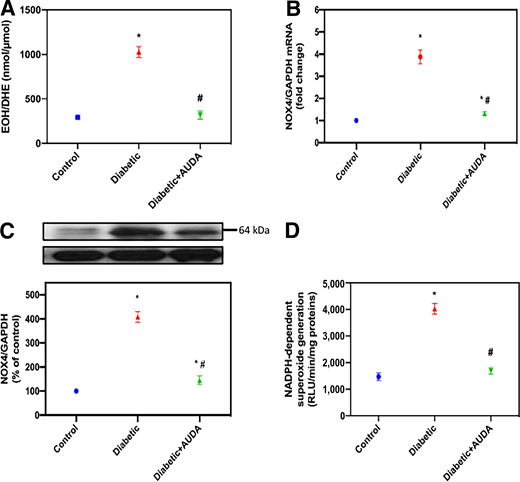 AUDA regulates superoxide production, Nox4 mRNA and protein levels, and NADPH oxidase activity. A: Superoxide generation evaluated using HPLC. B: Relative mRNA levels of Nox4. C: Histogram showing quantitation of Nox4/GAPDH from five different rats in each group. D: NADPH-dependent superoxide generation. All values are the means ± SE. *P < 0.05 vs. control; #P < 0.05 vs. untreated diabetic rats. DHE, dihydroethidium; EOH, 2-hydroxyethidium; RLU, relative light unit.