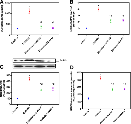 Anti-VEGF and SU5416 regulate superoxide production, Nox4 mRNA and protein levels and NADPH oxidase activity are shown. A: Superoxide generation evaluated using HPLC. B: Relative mRNA levels of Nox4. C: Histogram showing quantitation of Nox4/GAPDH from five different rats in each group. D: NADPH-dependent superoxide generation. All values are the means ± SE. *P < 0.05 vs. control; #P < 0.05 vs. untreated diabetic rats. DHE, dihydroethidium; EOH, 2-hydroxyethidium; RLU, relative light unit.