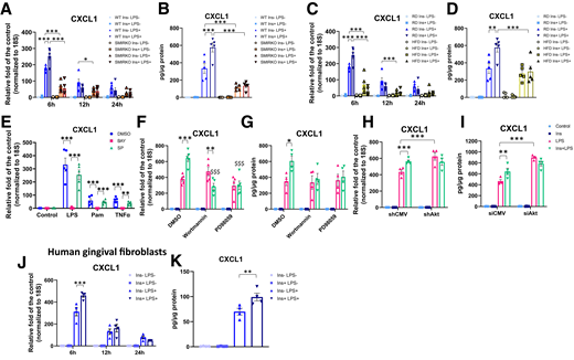 Insulin transiently enhanced LPS-induced CXCL1 expression in GFs but not in SMIRKO and HFD-fed mice. A: qPCR (N = 5) and B: ELISA of CXCL1 expression in and production from GFs of WT and SMIRKO mice (N = 5). C: qPCR and D: ELISA of CXCL1 expression and production from GFs of RD and HFD-fed mice (N = 5). E: Confirmation of LPS, Pam3CSK4 (Pam), and TNFα (10 ng/mL each) induced pathway to express CXCL1 in GFs (N = 5). F: qPCR (N = 5) and G: ELISA in CXCL1 levels in and from GFs treated with wortmannin or PD98059 (N = 4). H: qPCR (N = 4) and I: ELISA in CXCL1 expression in GFs treated with shAkt1 or control vector (shCMV) (N = 4). J: Effect of insulin on LPS-induced CXCL1 expression (N = 4) and K: productions from human primary GFs (N = 4). *P < 0.05, **P < 0.01, ***P < 0.001. $$$P < 0.001 versus Ins+LPS-treated GFs.