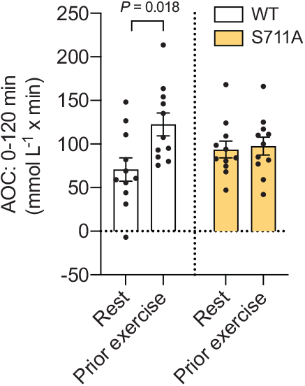 Glucose area over curve (AOC) during insulin tolerance tests following rest and exercise in wild-type (WT) mice and mice with the TBC1D4-S711A mutation.