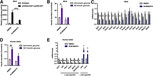 Pharmacological inhibition of E2f transcription factor activity induces loss of β-cell function in mouse and human islets. A: Min6 cells were transiently cotransfected with the E2F-RE-Tk promoter luciferase construct in the absence (PCDNA3) or presence of the E2F1:DP1 heterodimer (E2F1/DP1) and were subsequently treated with DMSO (0.1%; 48 h) or HLM006474 (10 μmol/L; 48 h). Raw data for luciferase activity were normalized to β-galactosidase activity. B: GSIS at indicated glucose concentrations on DMSO- (0.1%; 48 h) or HLM006474-treated (10 μmol/L; 48 h) Min6 cells (n = 6). C: qPCR-based analysis of β-cell–specific mRNA expression in DMSO- (0.1%; 48 h) or HLM006474-treated (10 μmol/L; 48 h) Min6 cells (n = 3). D: GSIS at indicated glucose concentration on human islets treated with DMSO (0.1%; 48 h) or HLM006474 (10 μmol/L; 48 h) (n = 3) (Supplementary Table 1 lists donor information). E: qPCR-based analysis of β-cell–specific (INS, PDX1, PAX4, MAFA, and NEUROD1) and α-cell–specific (ARX and GCG) mRNA expression in DMSO- (0.1%; 48 h) or HLM006474-treated (10 μmol/L; 48 h) human islets (n = 3). Data are presented as mean ± SEM and were analyzed by two-way ANOVA with Tukey test (A, B, D) or two-tailed unpaired t test (C and E). *P < 0.05, **P < 0.01, ***P < 0.001, ****P < 0.0001.
