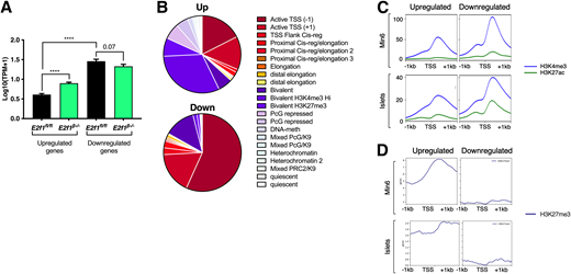 Transcriptome of E2f1β−/− islets is associated with a specific epigenomic pattern. A: Expression level of E2f1β−/− up- and downregulated genes both in pancreatic islets from control (wild-type) and E2f1 knockout (E2f1β−/−) mice. Results are displayed as log10 transcripts per million (TPM) [log10(TPM+1)] calculated from TPM obtained from RNA-seq data. Data are presented as mean ± SEM and were analyzed by unpaired t test. B: Pie chart displaying chromatin state of E2f1β−/− up- and down-regulated genes according to pancreatic islet gene-associated chromatin state stratification from Lu et al. (12). C: H3K4me3 and H3K27ac ChIP-seq mean signals within promoters (centered to TSS ± 1 kb) of E2f1β−/− up- and downregulated genes in both Min6 cells and mouse pancreatic islets (12). D: H3K27me3 ChIP-seq mean signals within promoters (centered to TSS ± 1 kb) of E2f1β−/− up- and downregulated genes in both Min6 cells and mouse pancreatic islets (12). ****P < 0.0001.