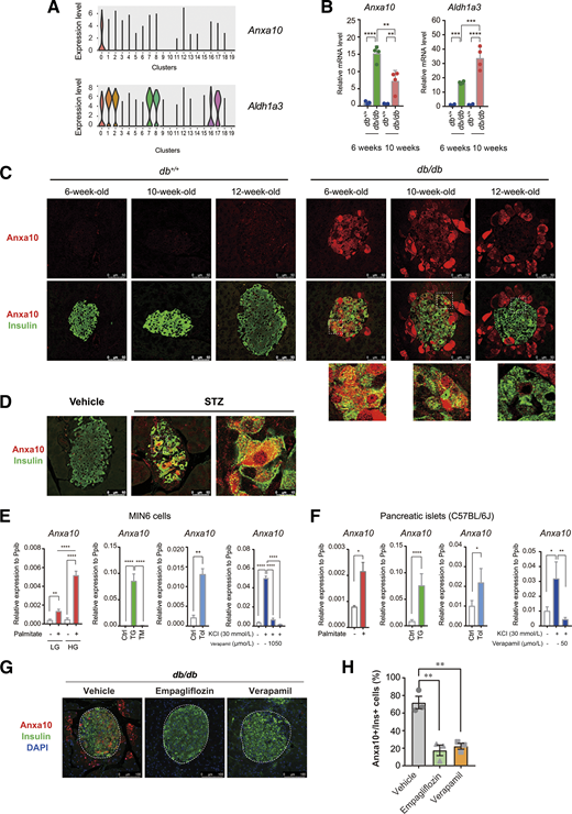 Single-Cell Transcriptome Profiling of Pancreatic Islets From Early ...
