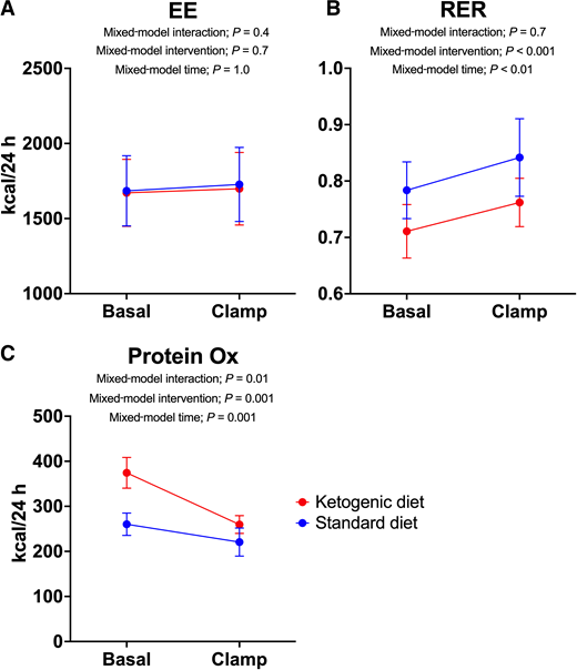 Measurements with indirect calorimetry. A: EE values were similar after both diets and periods. B: RER was consistently lower during the KD compared with the SDD. C: Protein oxidation (ox) was higher in the basal period after the KD but similar during the clamp. All data are presented as mean with SD.
