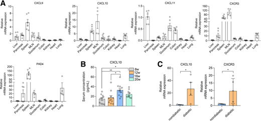 Expression of CXCR3/CXCL10 axis in progression of T1D in NOD mice. A: mRNA expression levels of CXCL10/CXCR3-related chemokines and PAD4 in various tissues (n = 6). B: Quantification of CXCL10 levels in serum of NOD mice at 8, 12, 16, and 20 weeks (n = 10). C: mRNA expression levels of CXCL10 and CXCR3 in colons of NOD mice before and after onset of T1D (n = 4–5; nondiabetic 12–15 weeks; diabetic 15–22 weeks). All data presented as mean ± SEM. A–C: Statistical significance assessed by one-way ANOVA (A and B) or Student t test (C). *P < 0.05, **P < 0.01.