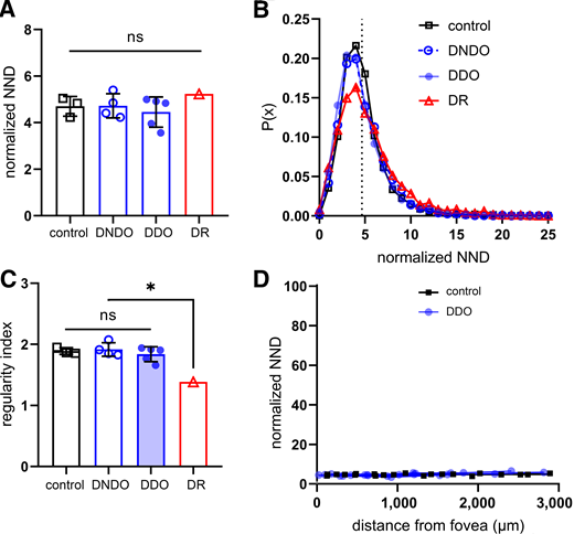 DVP capillary zone of influence. A: The NND was calculated for each donor and then normalized to the height of the nuclei of RPE cells (>10 RPE cells were measured per donor and the average value was used); thus, results express fold change to the reference value. No difference was found between any two groups, meaning that the NND is consistent across groups. B: Frequency plot of the NND reveals an overlapping distribution pattern in the control group and two diabetes subgroups, and a lower peak of the DR NND distribution was noticed. The dashed line shows the overall normalized mean NND of 4.65. C: The RI, calculated as mean ± SD, tends to decrease with increased severity of capillary loss. No difference was found among the control group and subgroups with diabetes, whereas RI of DR was significantly different from each other group. D: The NND was plotted against the distance from the optic disc–fovea axis along the superior-inferior axis. No linear relationship could be found in any group (DNDO subgroup and DR not shown). Control group, n = 3; DNDO subgroup, n = 4; DDO subgroup, n = 5; and DR, n = 1. Results are presented as mean ± SD. *P < 0.05. Statistical significance was tested by one-way ANOVA with Tukey post hoc comparison (A, C). P(x), probability distribution of normalized NND.