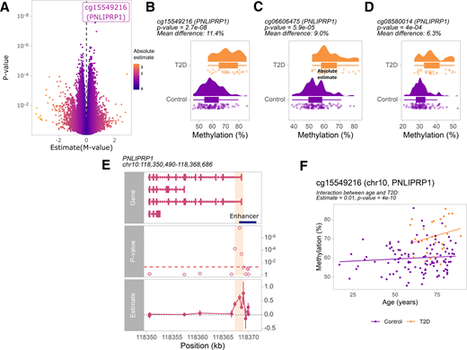 Epigenome-wide association study in whole pancreas in T2D. A: Volcano plot depicting the differentially methylated CpGs associated with T2D, highlighting the only significant CpG (Bonferroni-corrected P < 0.05). Colors indicate the absolute estimates (M values). B: Boxplot showing the density of cg15549216 methylation levels in individuals with T2D (orange) and controls without diabetes (purple), for each individual. The x-axis represents the percentage methylation β value. B–D: Boxplots showing the density of cg06606475 and cg08580014 methylation levels, respectively, in patients with T2D and controls without diabetes, for each individual. E: Representation of the PNLIPRP1 gene, with the differentially methylated region shaded in orange. The enhancer region is depicted in purple, and the estimates and P values of all CpGs in the PNLIPRP1 gene are shown. F: Scatterplot depicting the interaction between methylation of cg15549216 and age in organ donor individuals. Controls without diabetes are shown in purple, and patients with T2D are shown in orange.