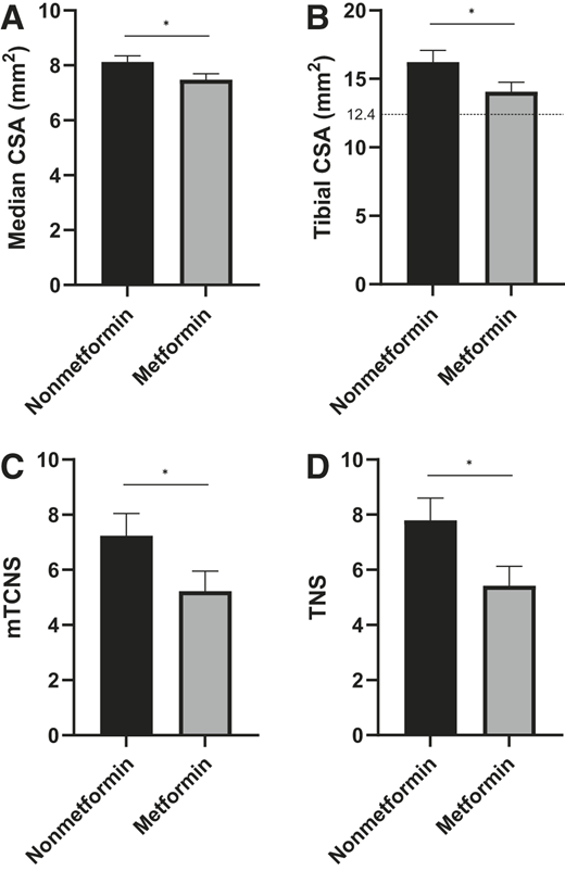 Group comparison of peripheral nerve ultrasonography and clinical neuropathy scores for metformin and nonmetformin groups. Values are expressed as mean ± SE for median nerve CSA (A), mean tibial nerve CSA (B), mean mTCNS (C), and mean TNS (D). B: Upper limit of normal tibial nerve CSA is shown as 12.4 mm2 (23).