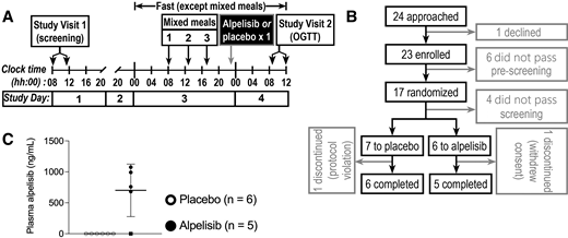 Elements of study design. A: Schematic representation of study procedures. B: Flow diagram indicating census of volunteers reaching each stage of study screening process and completion. C: Plasma alpelisib level 10 h after dosing by gas chromatography–mass spectrometry. White circles represent placebo arm, and black circles represent alpelisib arm; black square denotes alpelisib arm participant whose plasma alpelisib level was undetectable.