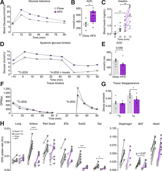 Dual Tracer Test detects diet-induced insulin resistance. A: Blood glucose levels during an oral glucose tolerance test (OGTT) are shown at indicated time points in chow-fed and HFD-fed mice. B: AOC (area under the curve for OGTT and above the curve in response to insulin) of data in A. C: Blood insulin levels during the OGTT in individual mice. Blood glucose levels (D) and the AOC after insulin administration (E) during the Dual Tracer Test. F: Tracer disappearance of basal [14C]2DG and insulin-stimulated [3H]2DG from the circulation. G: Quantification of the disappearance rate by fitting data in F to a single exponential curve as detailed in Research Design and Methods. H: Tissue-specific 2DG uptake rates (basal, left; insulin-stimulated, right; individual mice are connected with a line). AU, arbitrary units; EDL, extensor digitorum longus; Epi, epididymal white adipose tissue; Quad, quadriceps; SubQ, subcutaneous adipose tissue. Data are mean ± SEM (n = 7–9). *P < 0.05, **P < 0.01, ***P < 0.001, ****P < 0.0001.