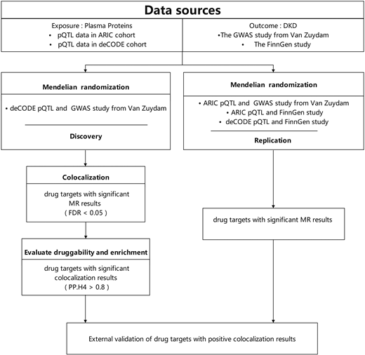 Overview of the study design in our MR and colocalization study.