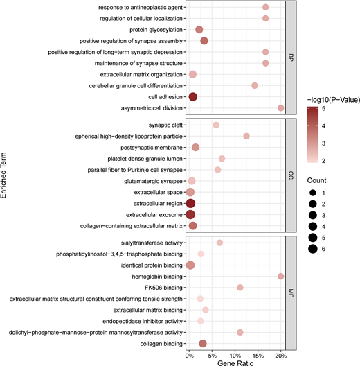 GO enrichment analysis of 12 identified proteins for treatment of DKD. Significantly enriched GO terms of similar expressed proteins in DKD.