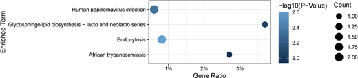 Key signaling pathways of 12 identified proteins associated of DKD. The x axis represents gene ratio, and the y axis represents different biological pathways. The size of the circle represents protein count. Different colors of circles represent different P values.
