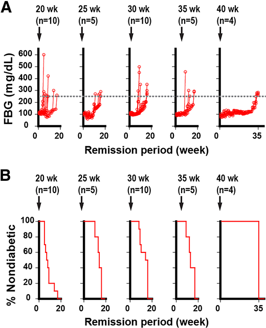 Loss of protection after treatment cessation. A: FBG levels over time in mAb43-treated mice after discontinuing weekly mAb43 injections at 20, 25, 30, 35, or 40 weeks of age as indicated by arrows. Glucose monitoring was continued until the onset of diabetes. Number of mice in each group is shown. B: Percentages of nondiabetic mice over time after discontinuing weekly mAb43 injections as described in A.