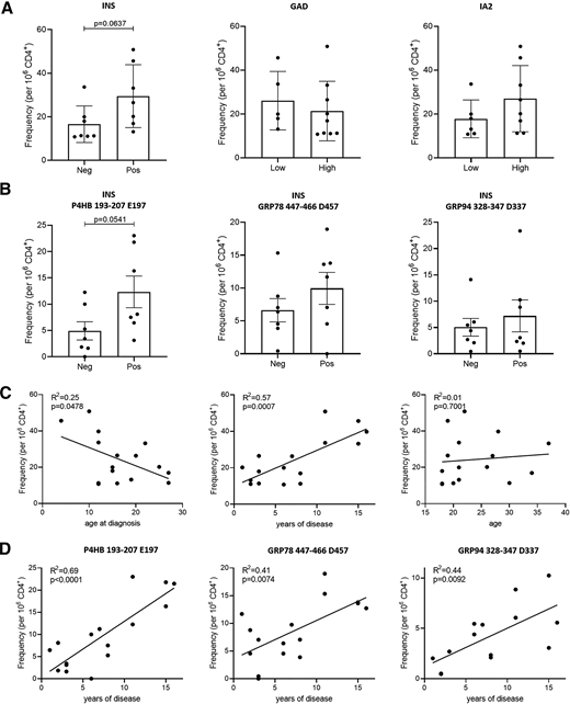 Correlations between Tmr+ CD4+ T-cell frequencies specific for novel Gln- and Asn-deamidated peptides in peripheral blood and insulin antibody levels at disease onset and duration. A: Tmr+ frequencies in individuals negative (<0.6% binding) and positive (≥0.6% binding) for insulin antibodies, low (<52 units/mL) and high (≥52 units/mL) for GAD antibodies, and low (<62 units/mL) and high (≥62 units/mL) for islet antigen 2 (IA2) antibodies. B: Tmr+ frequencies in individuals negative and positive for insulin antibodies for P4HB 193–207 E197, GRP78 447–466 D457, and GRP94 328–347 D337. C: Applying linear regression analysis indicated a significant inverse correlation between the Tmr+ frequency of peptides with significantly higher Tmr+ frequencies in individuals with type 1 diabetes and age at diagnosis, a significant positive correlation between Tmr+ frequency and disease duration, and no correlation between Tmr+ frequency and age. D: Correlations between frequency and disease duration for each peptide individually were also significant. Data are mean ± SEM (A and B). Unpaired t test (A and B) and simple linear regression (C and D) were used. Each dot represents one unique donor. Neg, negative; pos, positive.